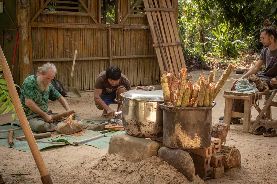 Cerimonia di Ayahuasca