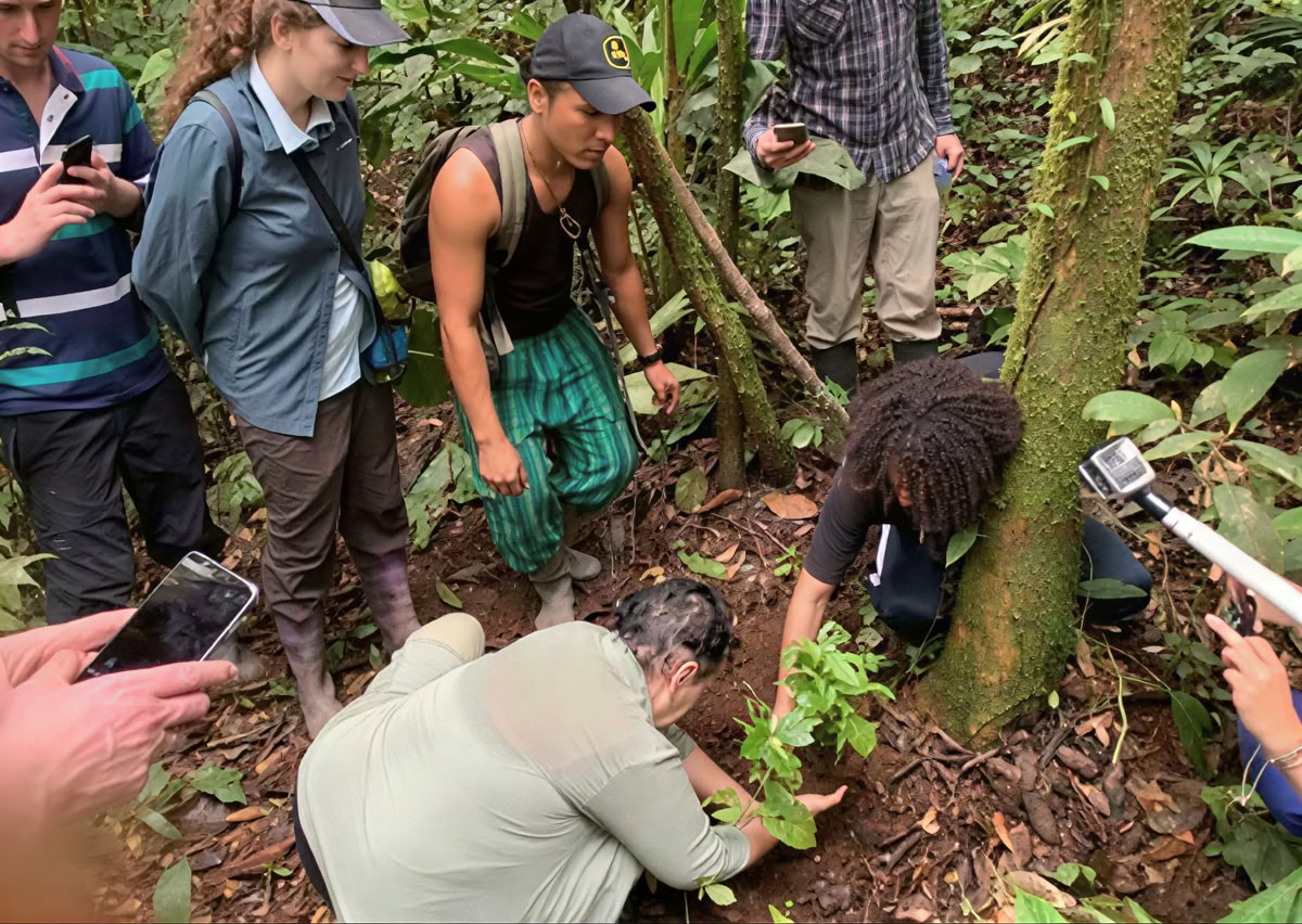 Ritiro di Ayahuasca di 5 giorni in Ecuador