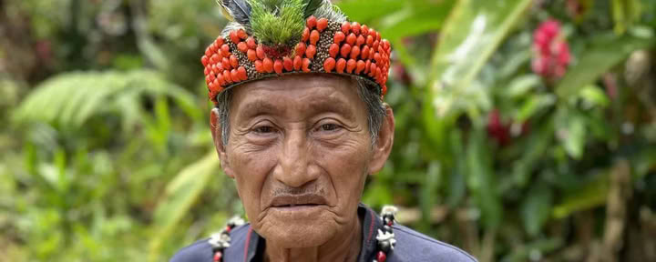 Ritiro di Ayahuasca di 5 giorni in Ecuador