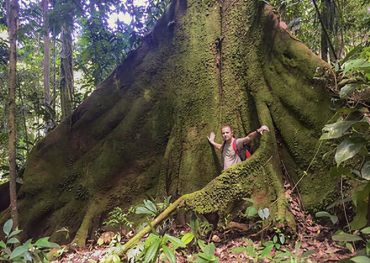Cerimonia di Ayahuasca in Ecuador