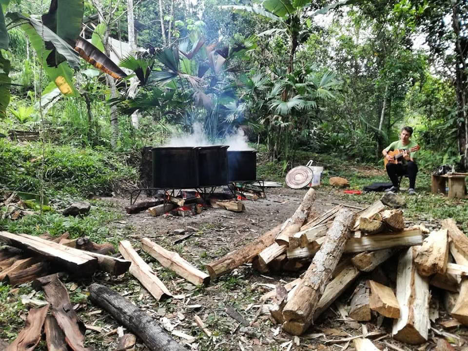 30 Giorni – Ayahuasca & Dieta delle Piante Maestre