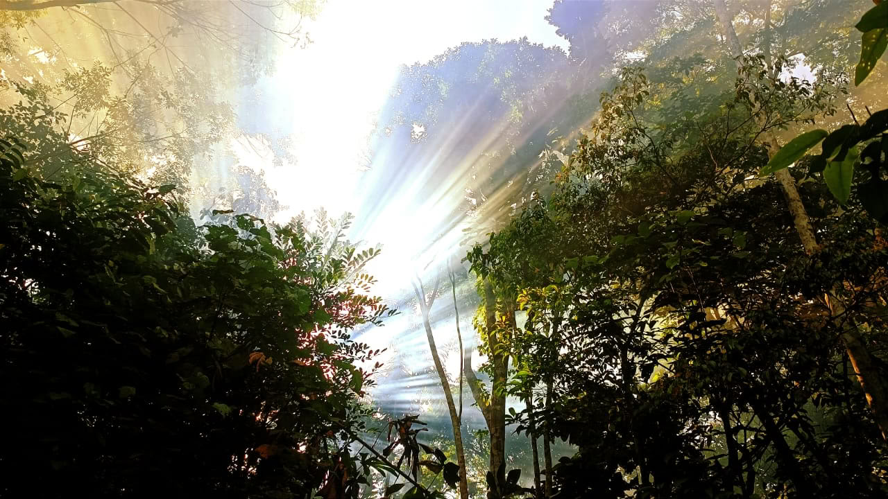 Ayahuasca e Machu Picchu ritiro di 13 giorni