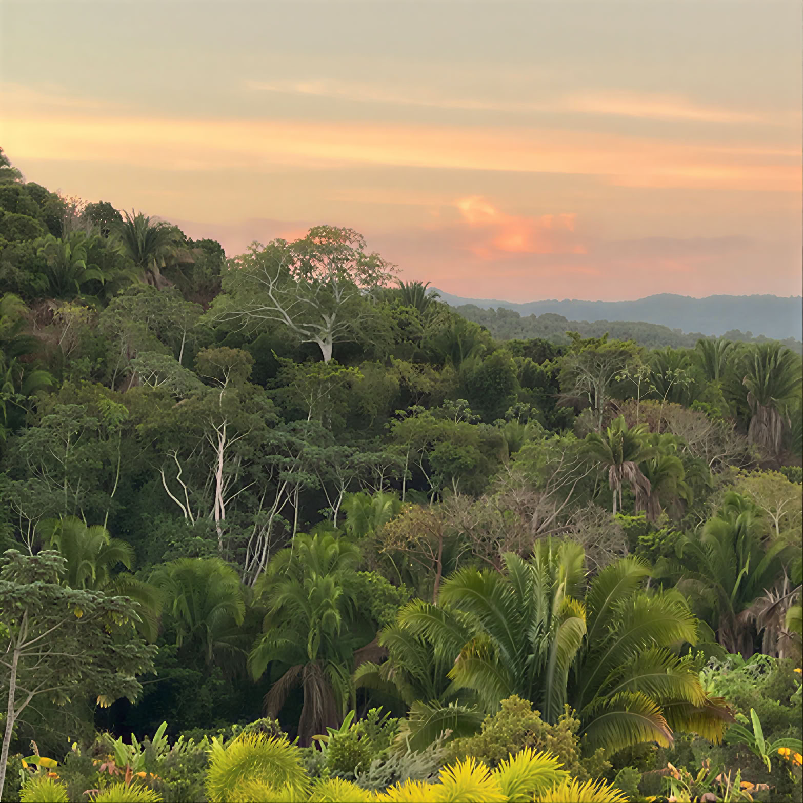 Ritiro di birdwatching, yoga e benessere