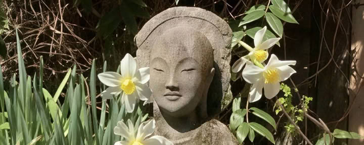 Sesshin di luglio