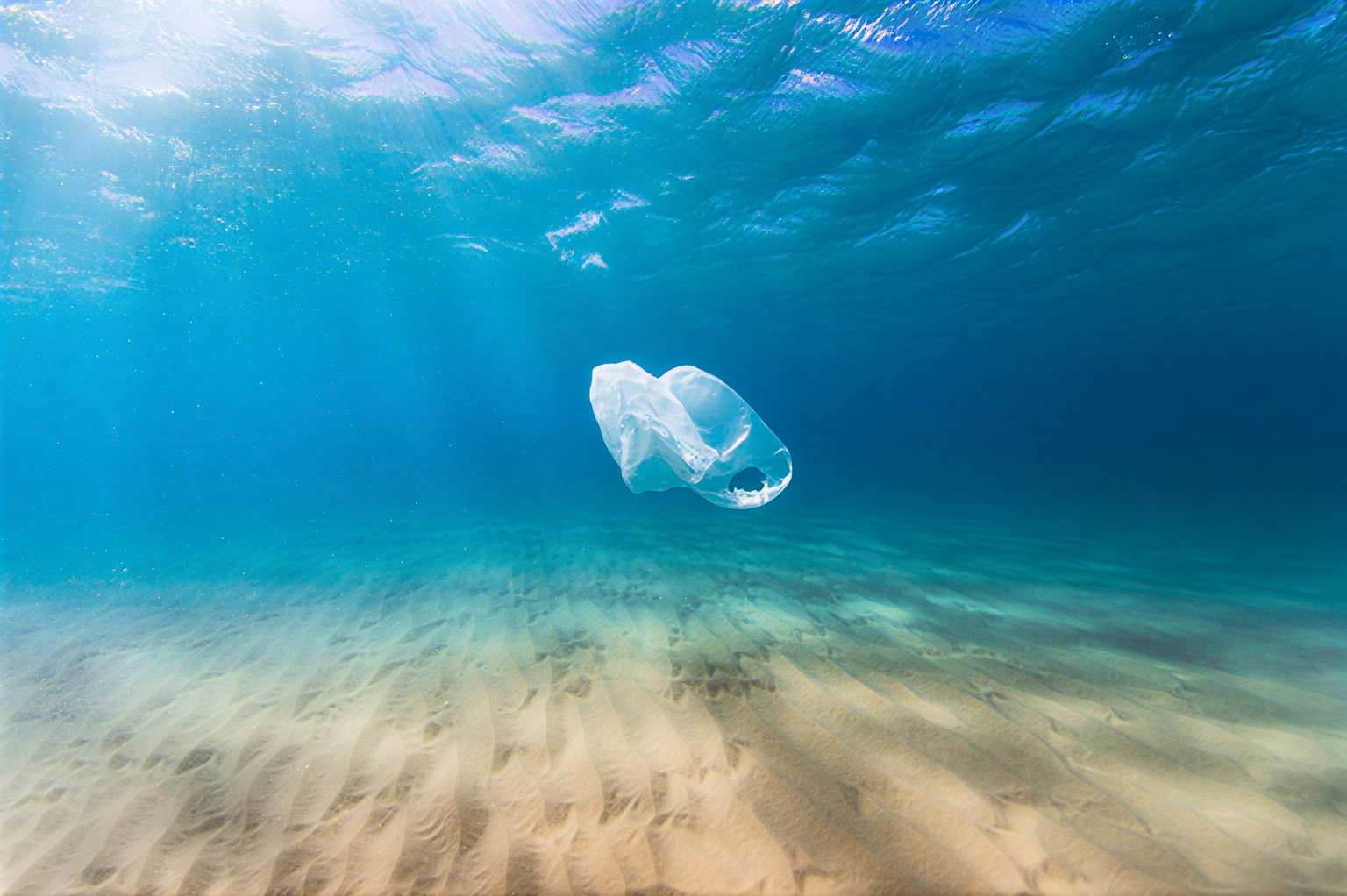 Oceans of Compassion: Un Ritiro Al Servizio Della Terra