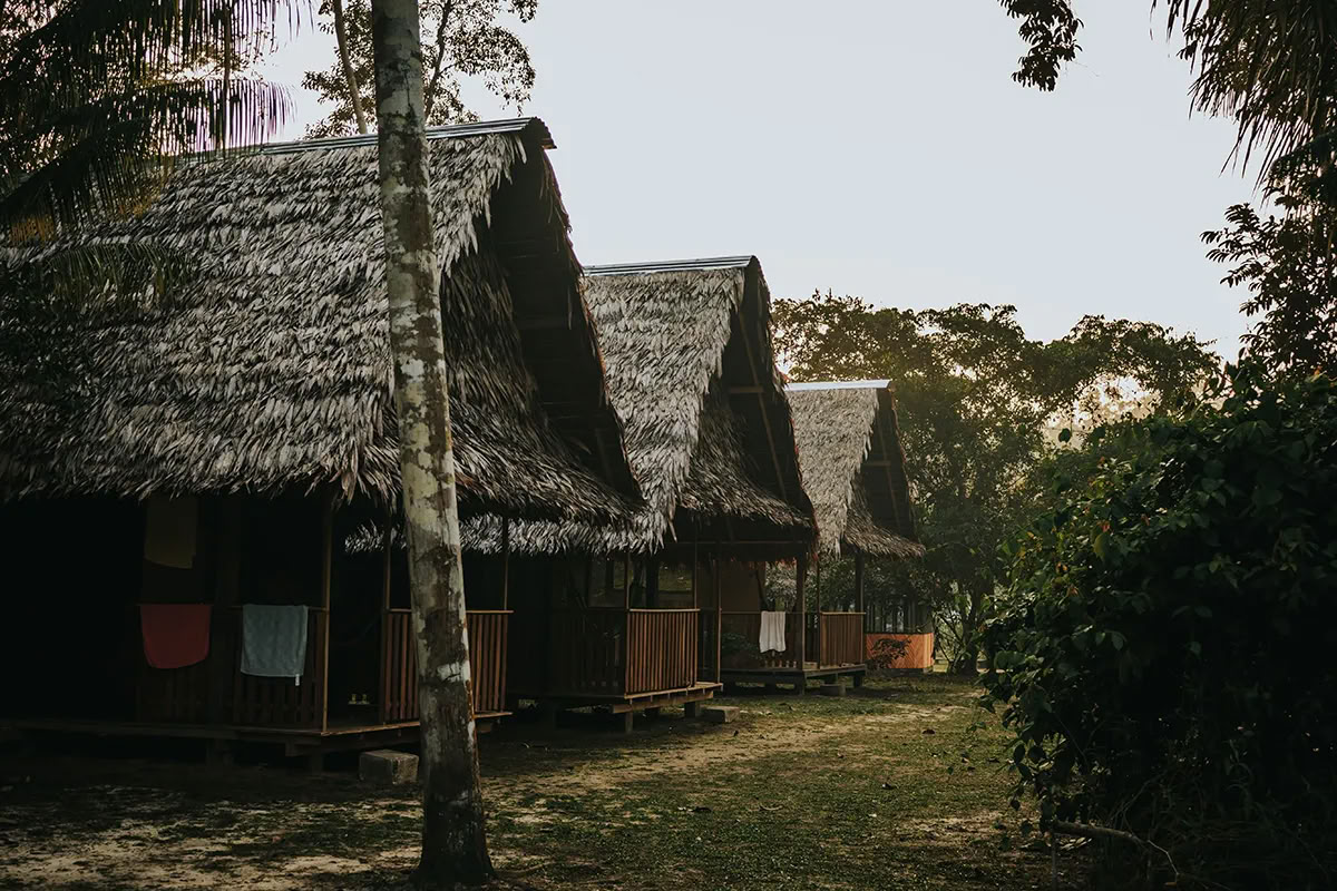 Ritiro Ayahuasca della Trasformazione