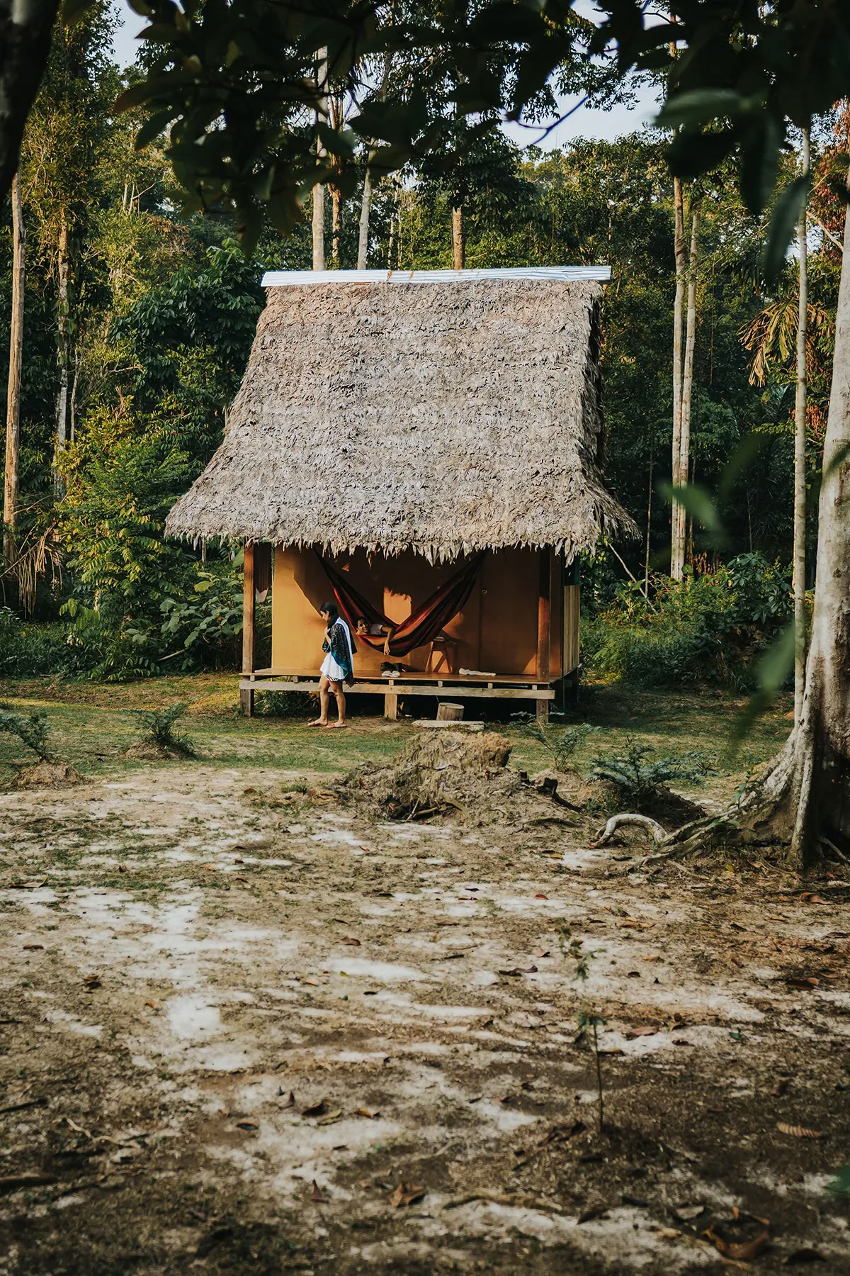 11 giorni di ritiro di ayahuasca in Perù – 12-22 agosto 2026 | Shipibo Healing & Integration