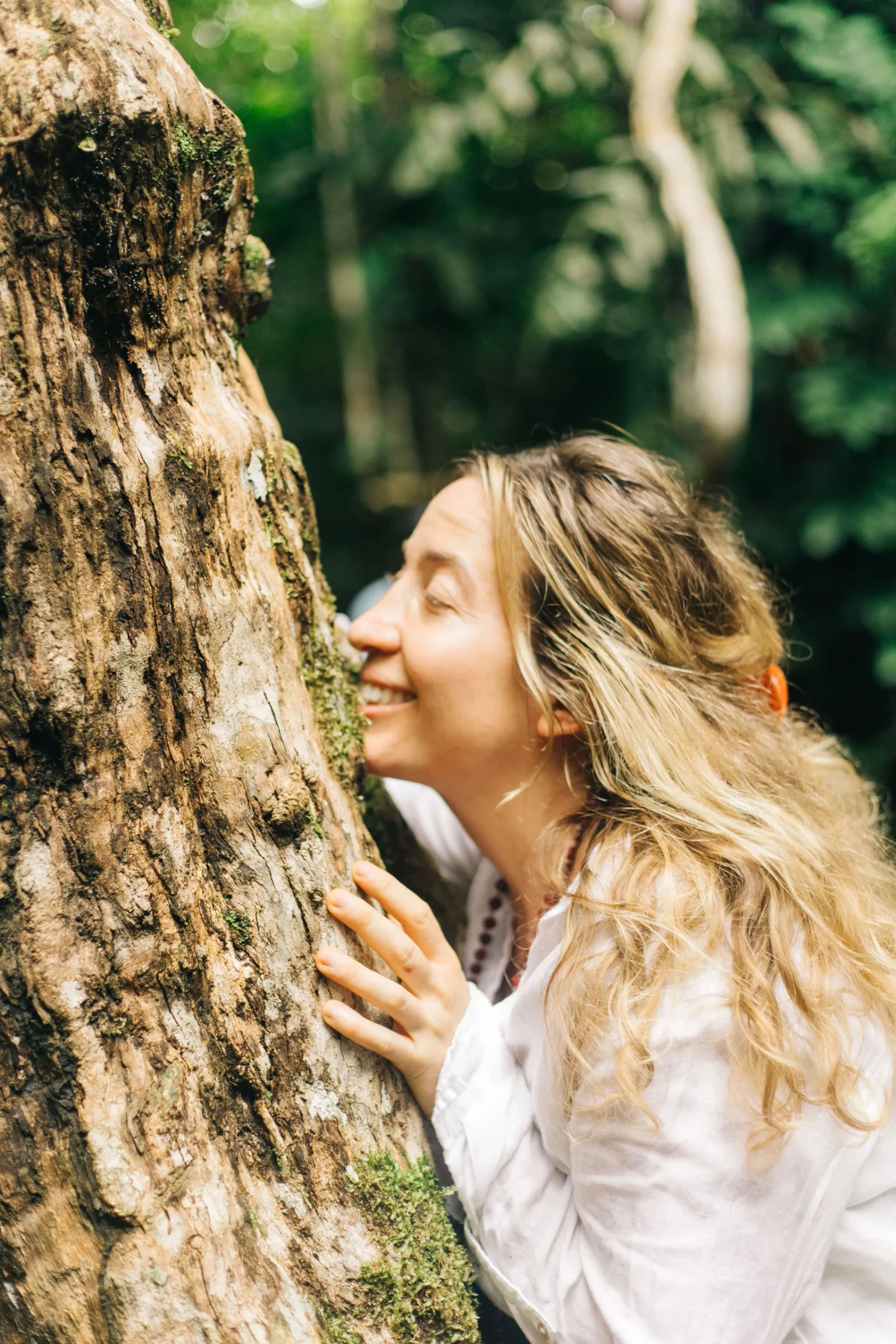11 giorni Ritiro di Ayahuasca in Perù – 31 agosto - 10 settembre 2026 | Shipibo Healing & Integration