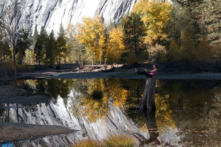 Roots of Resilience: Yoga & Il lavoro che riconnette
