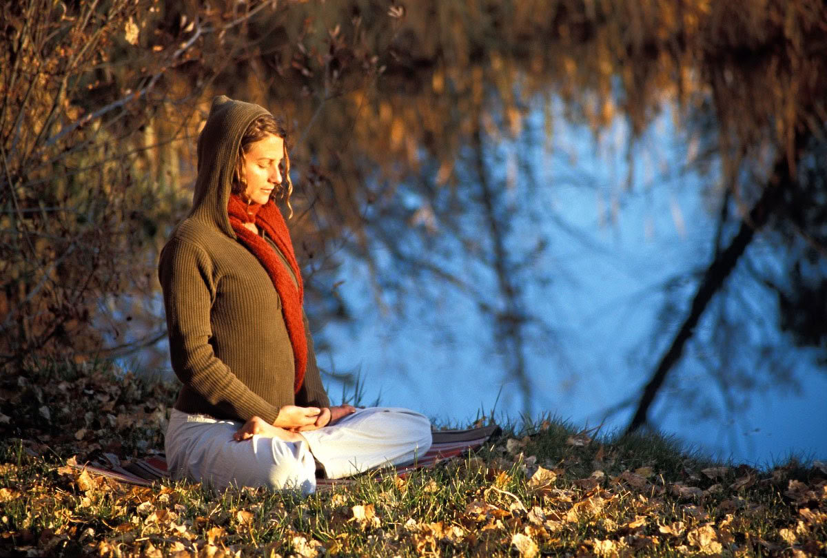 Roots of Resilience: Yoga & Il lavoro che riconnette