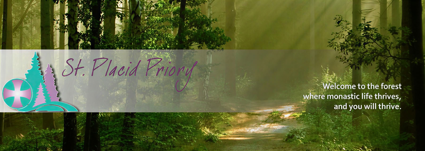 Forest Bathing presso St. Placid Priory