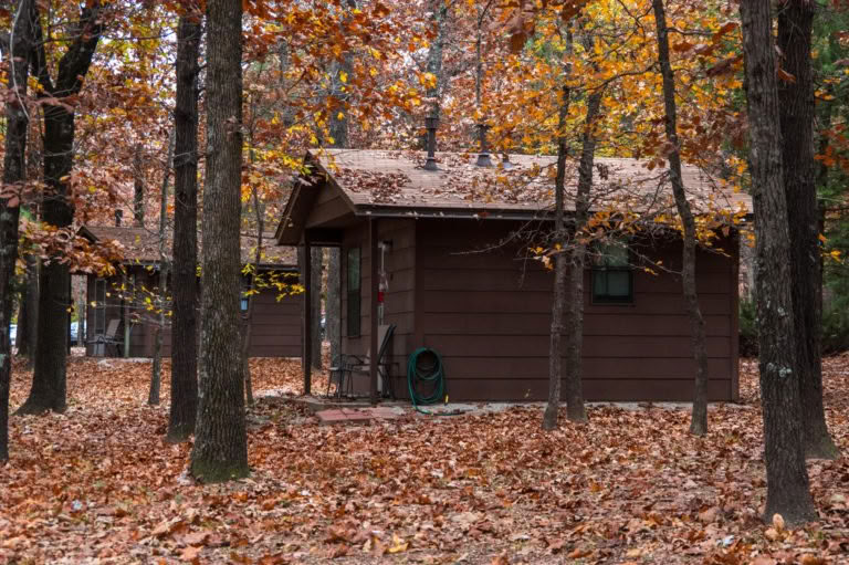 Family Day at the Forest — Bosco della Pace