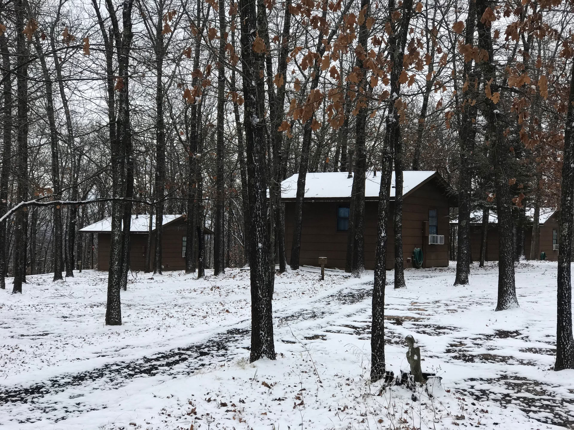 Family Day at the Forest — Bosco della Pace