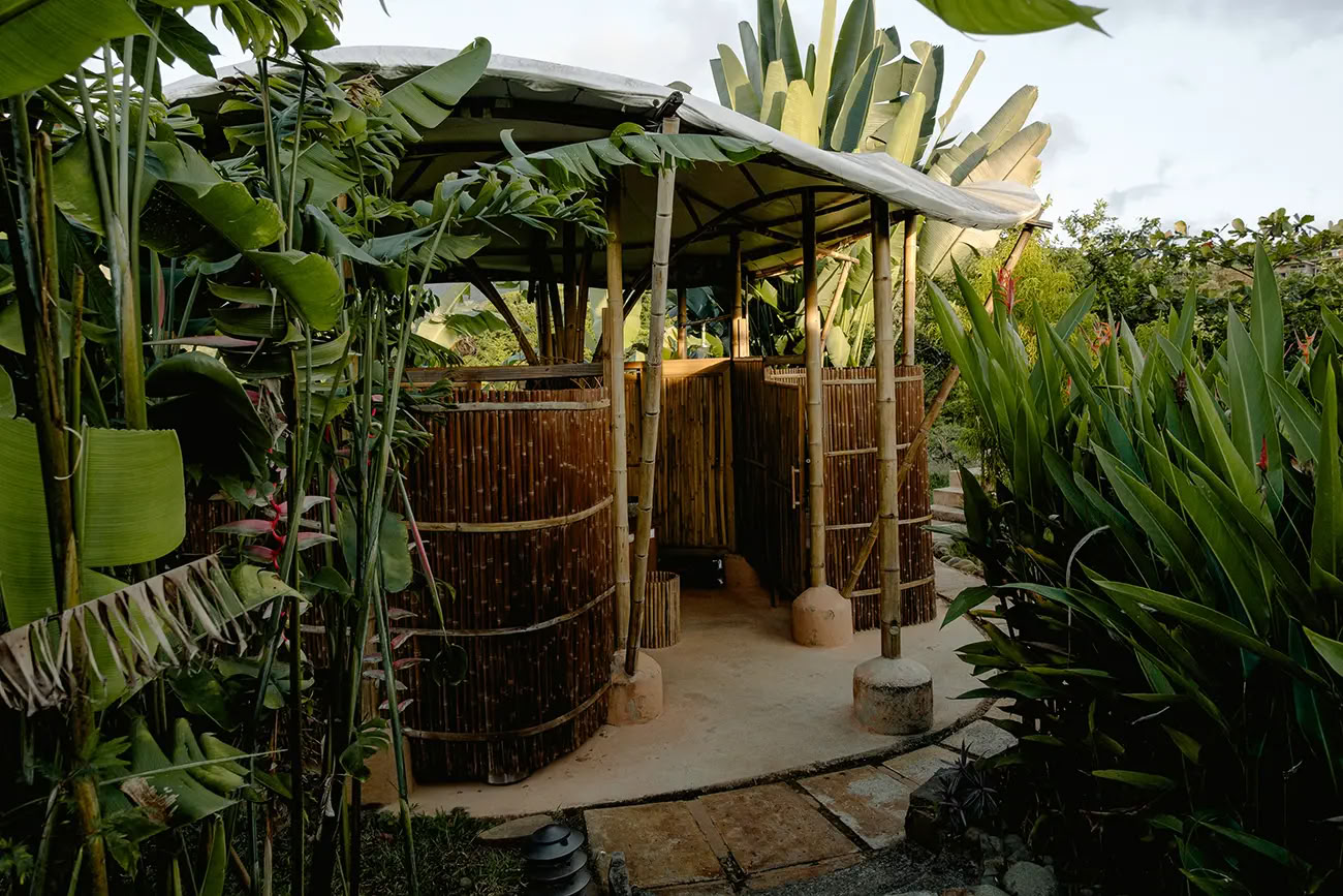 5 Notti Ritiro di Ayahuasca
