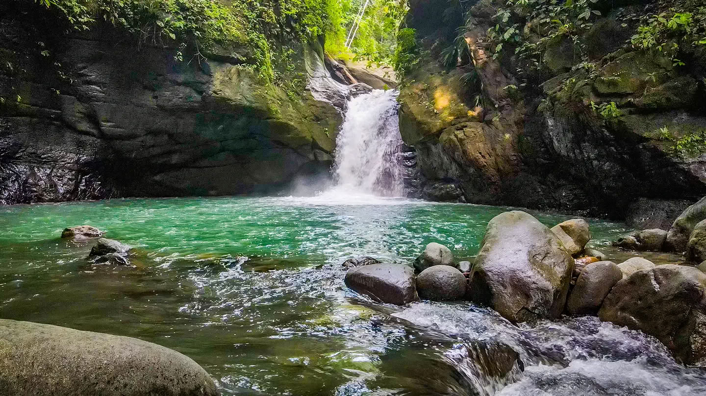 5 Notti Ritiro di Ayahuasca