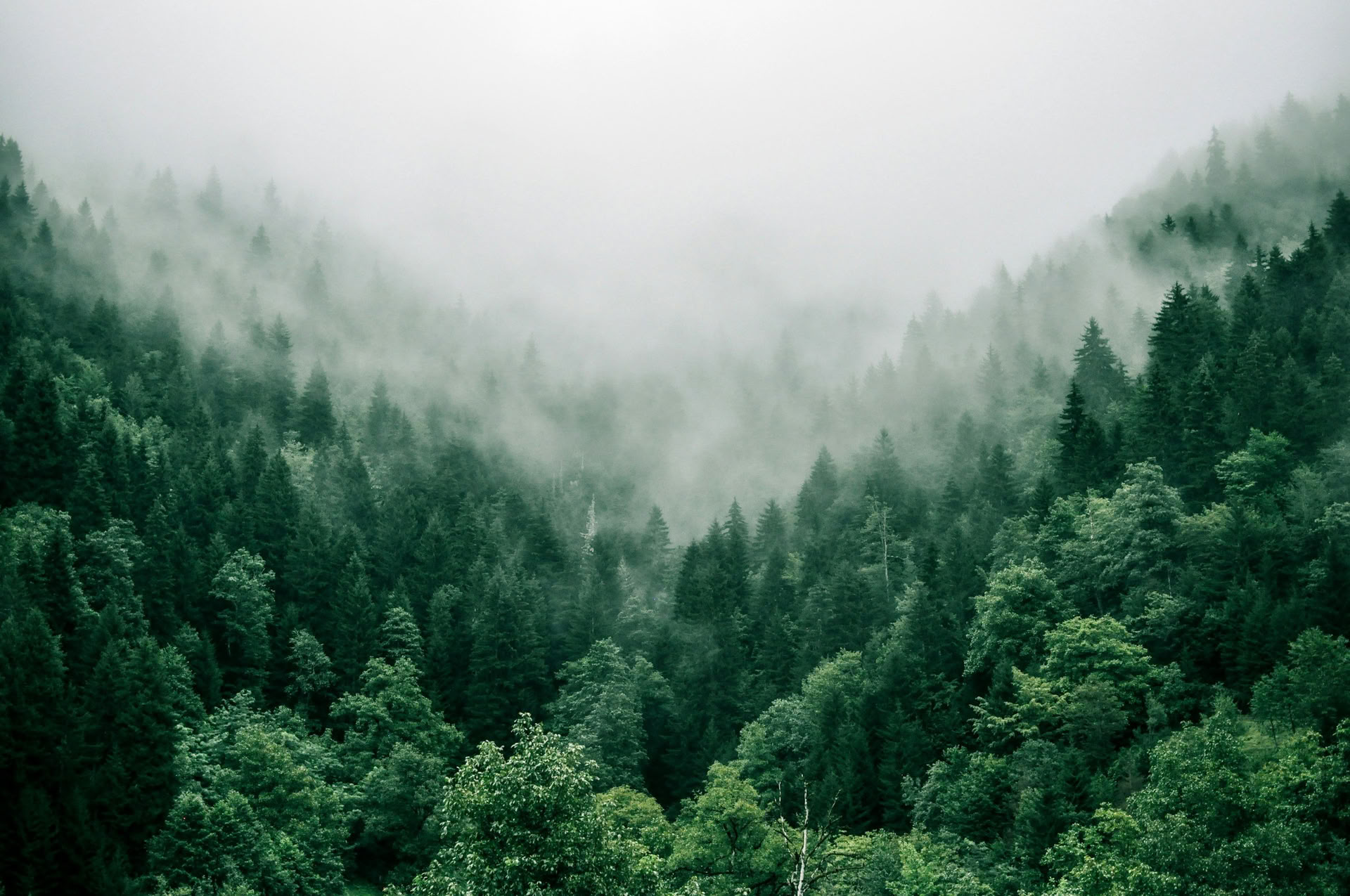 Coltivare la Compassione: Un Ritiro per Sviluppare, Potenziare e Rafforzare un Coinvolgimento Compassionevole con Greg Samuelson e Kelly Pryde (gruppo in visita) — The Dharma Centre of Canada