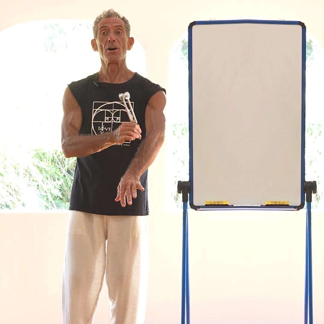 Tuning Fork Training Spain