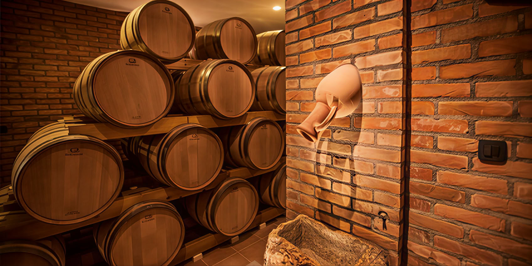 Tour del vino misto tradizionale e moderno