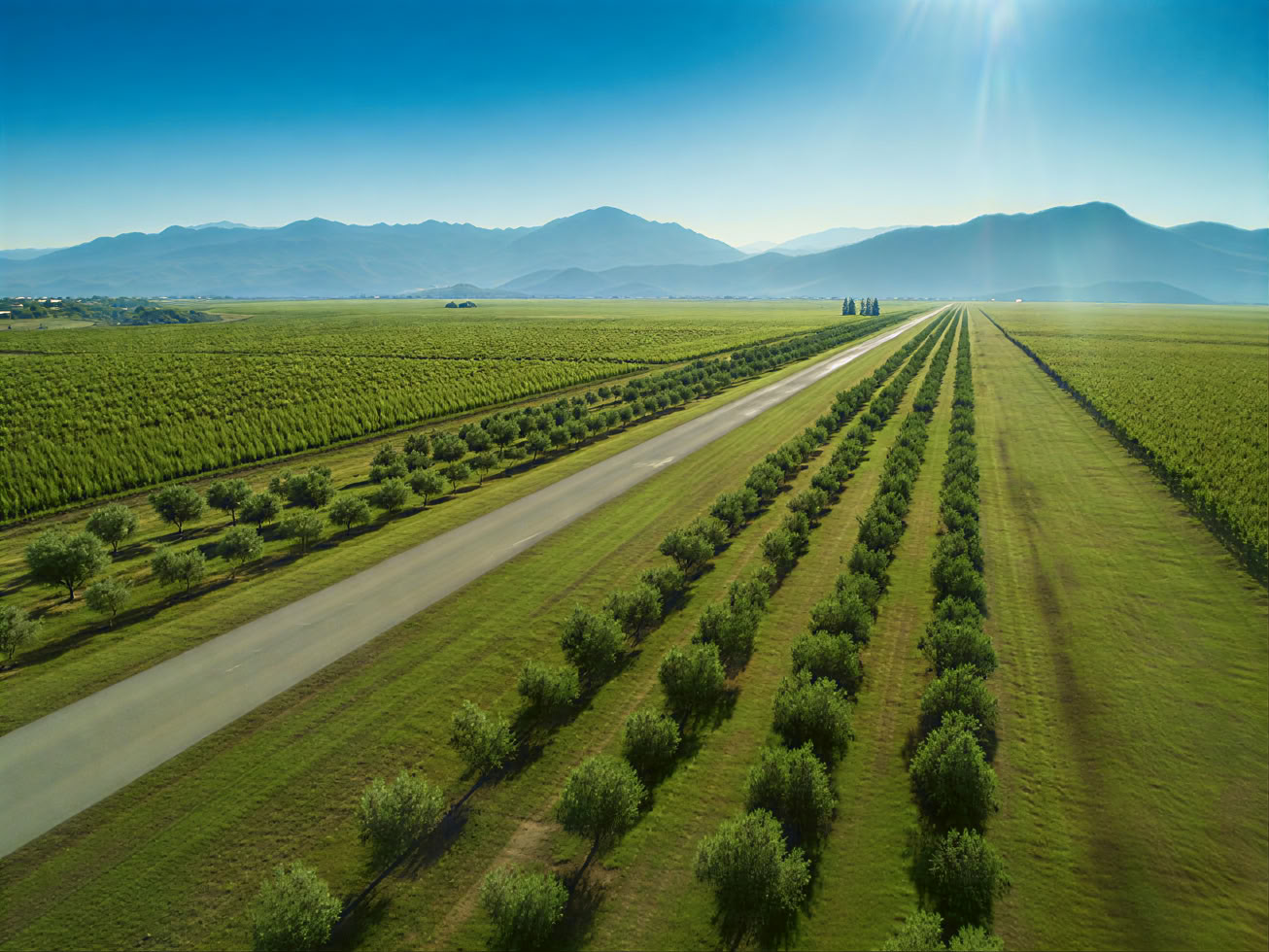 Tour della Strada del Vino del Montenegro