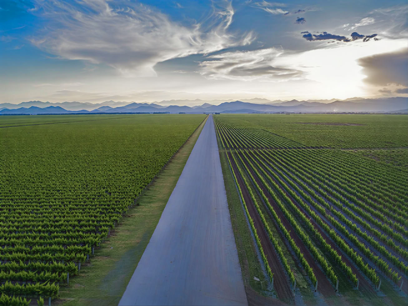 Tour della Strada del Vino del Montenegro