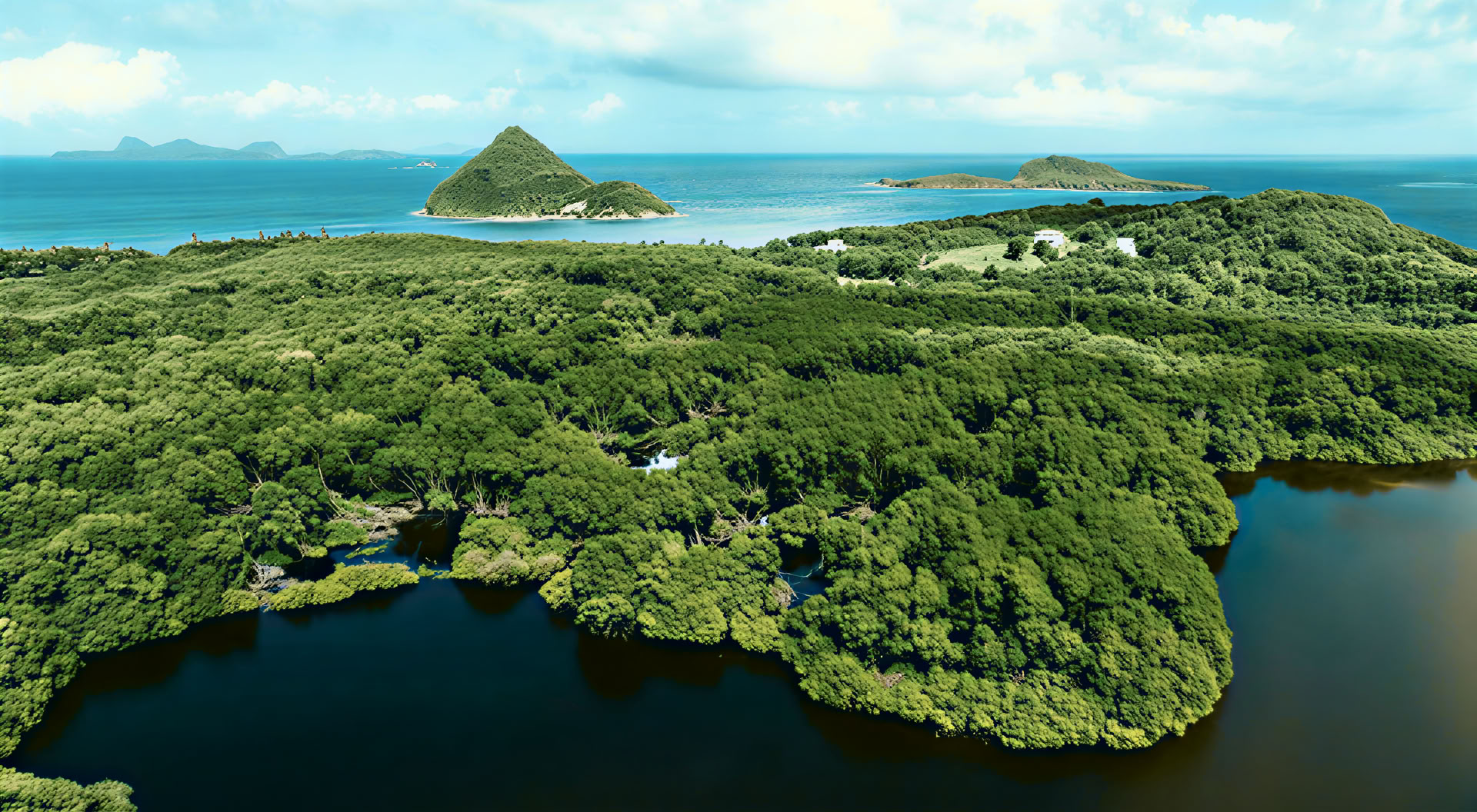 Soluzioni basate sulla natura: corso di formazione su ripristino degli ecosistemi e progetti di carbonio