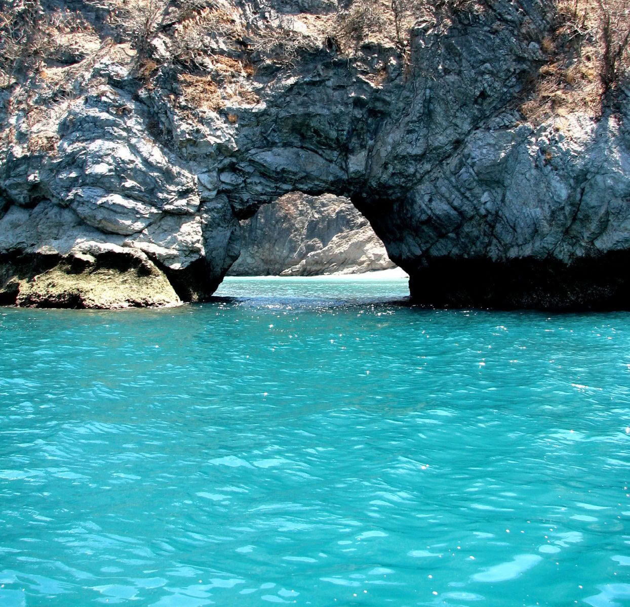 Calypso's Cruise to Tortuga Island