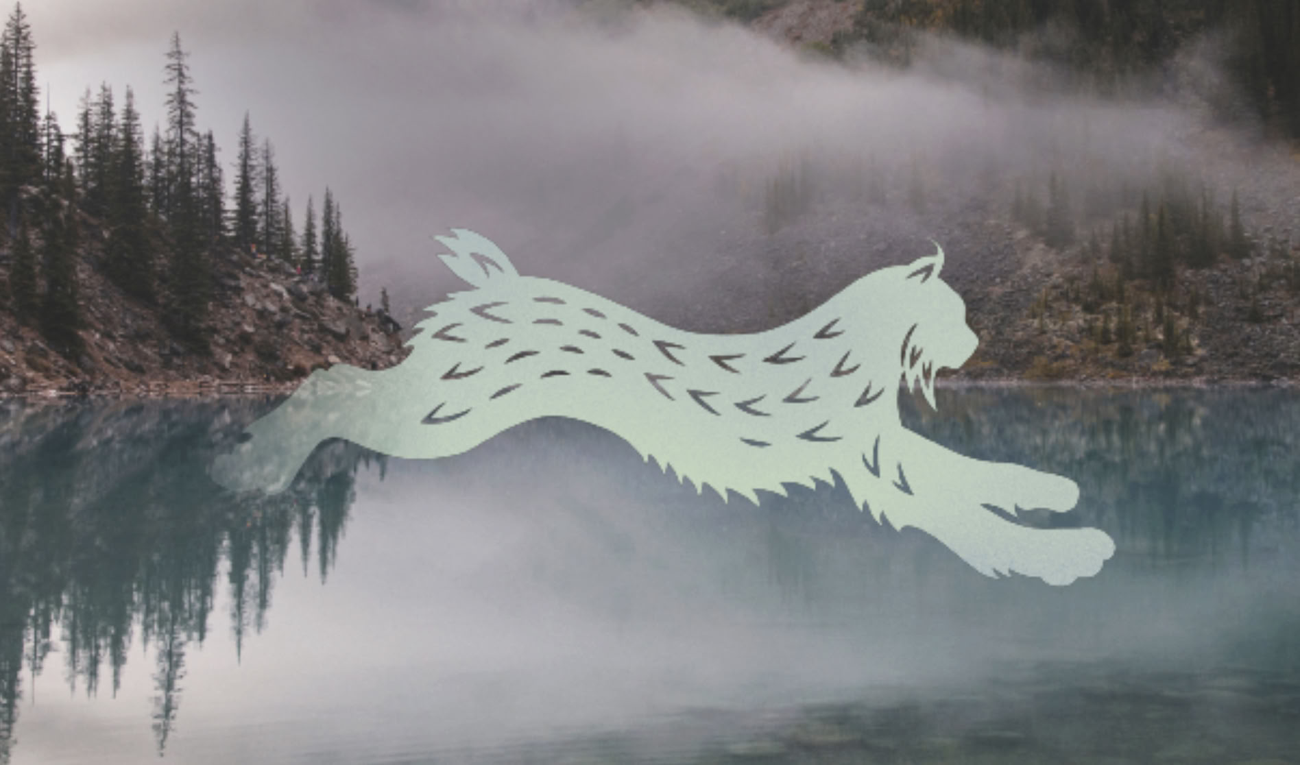 Wolf Willow Cascadia Ritiro