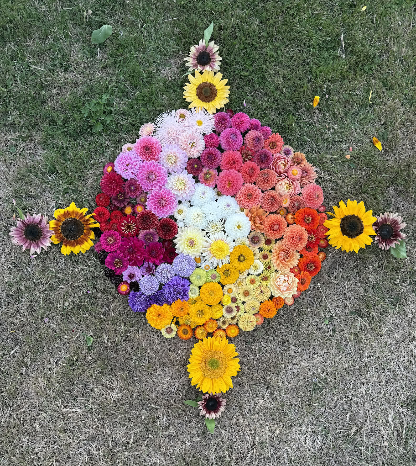 Flowers, Yoga, Horses - Ritiro Estivo 2026