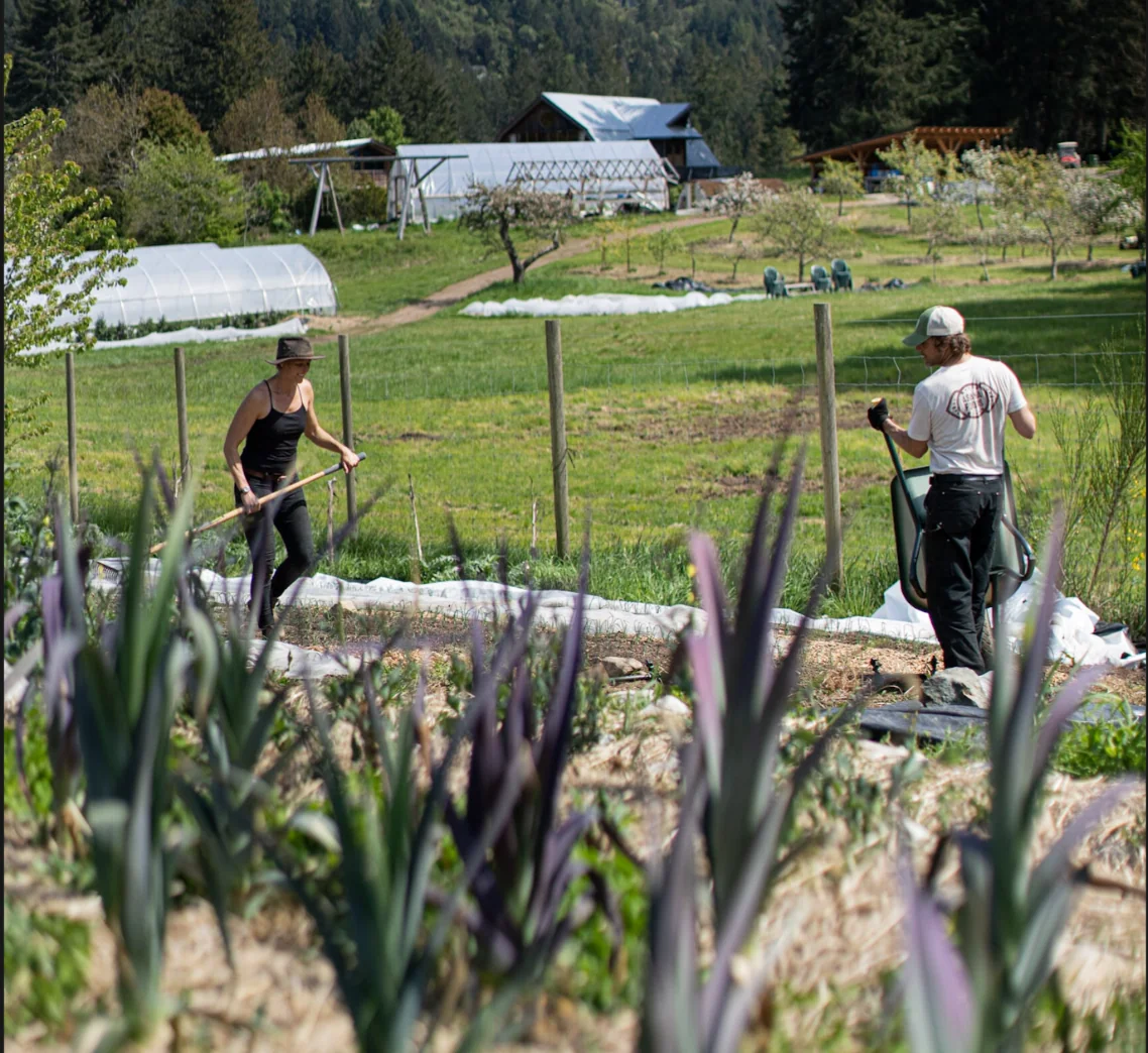 Preparare il giardino per la prossima stagione