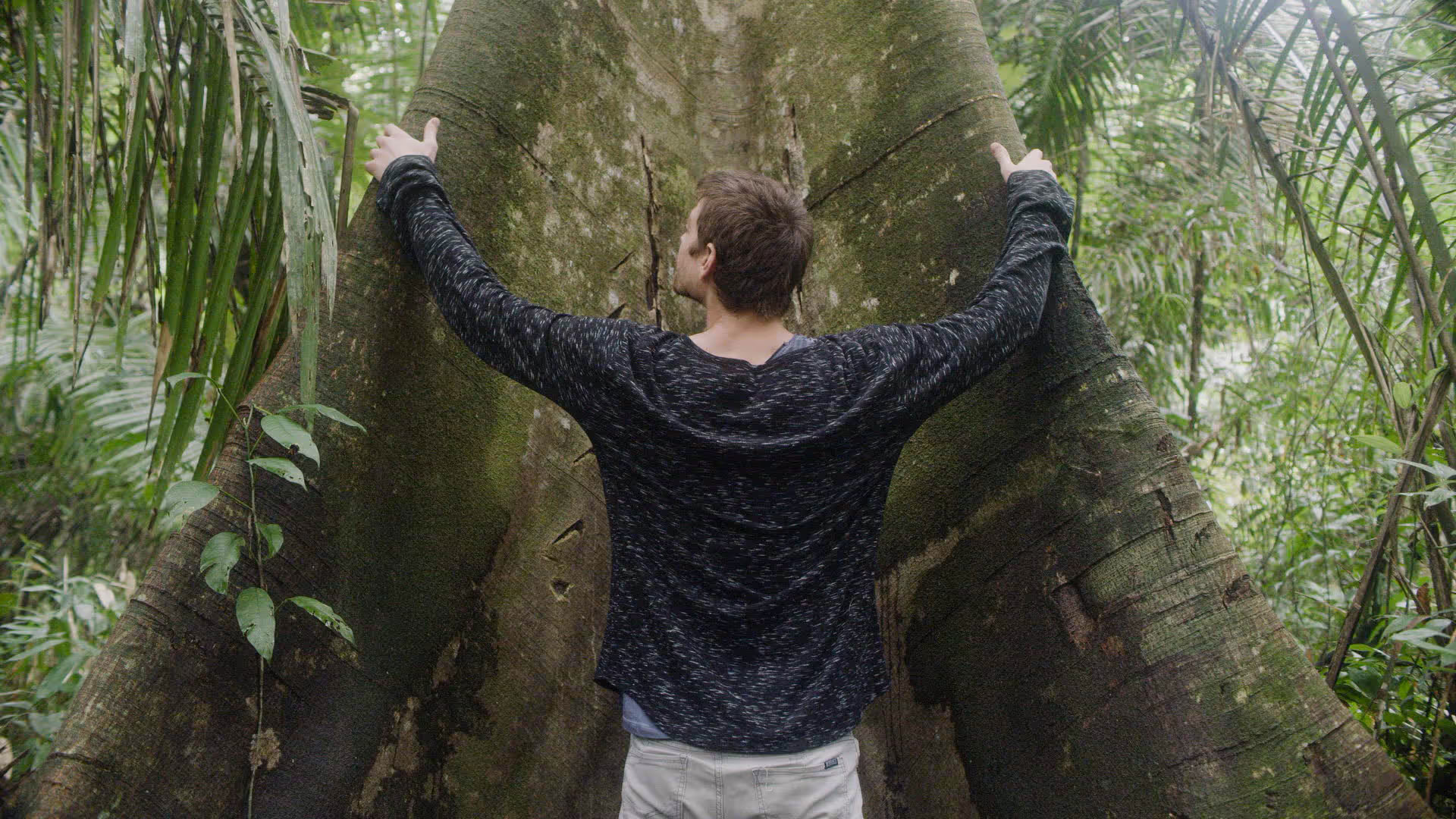 14 Giorni Ritiro di Ayahuasca