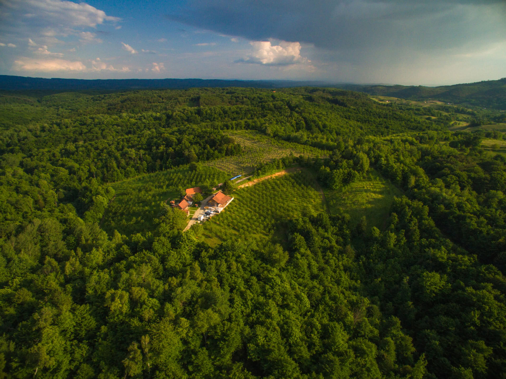 Forest Escape Yoga Retreat Croatia