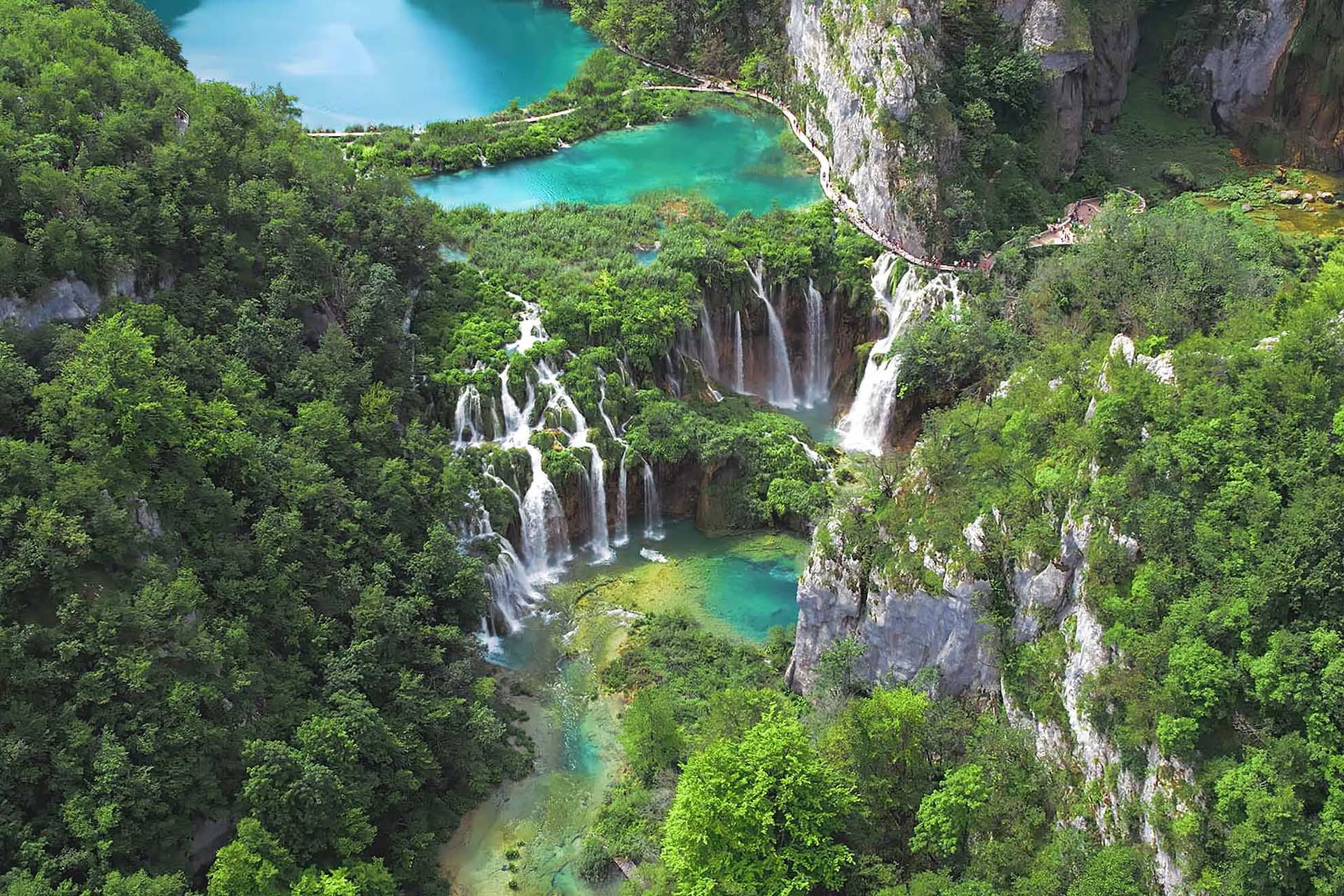 Forest Escape Yoga Retreat Croatia