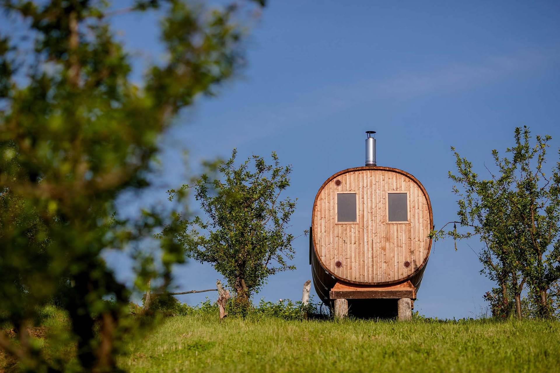 Forest Escape Yoga Retreat Croatia