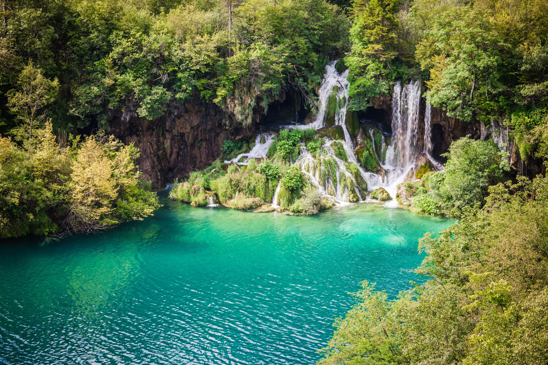 Forest Escape Yoga Retreat Croatia
