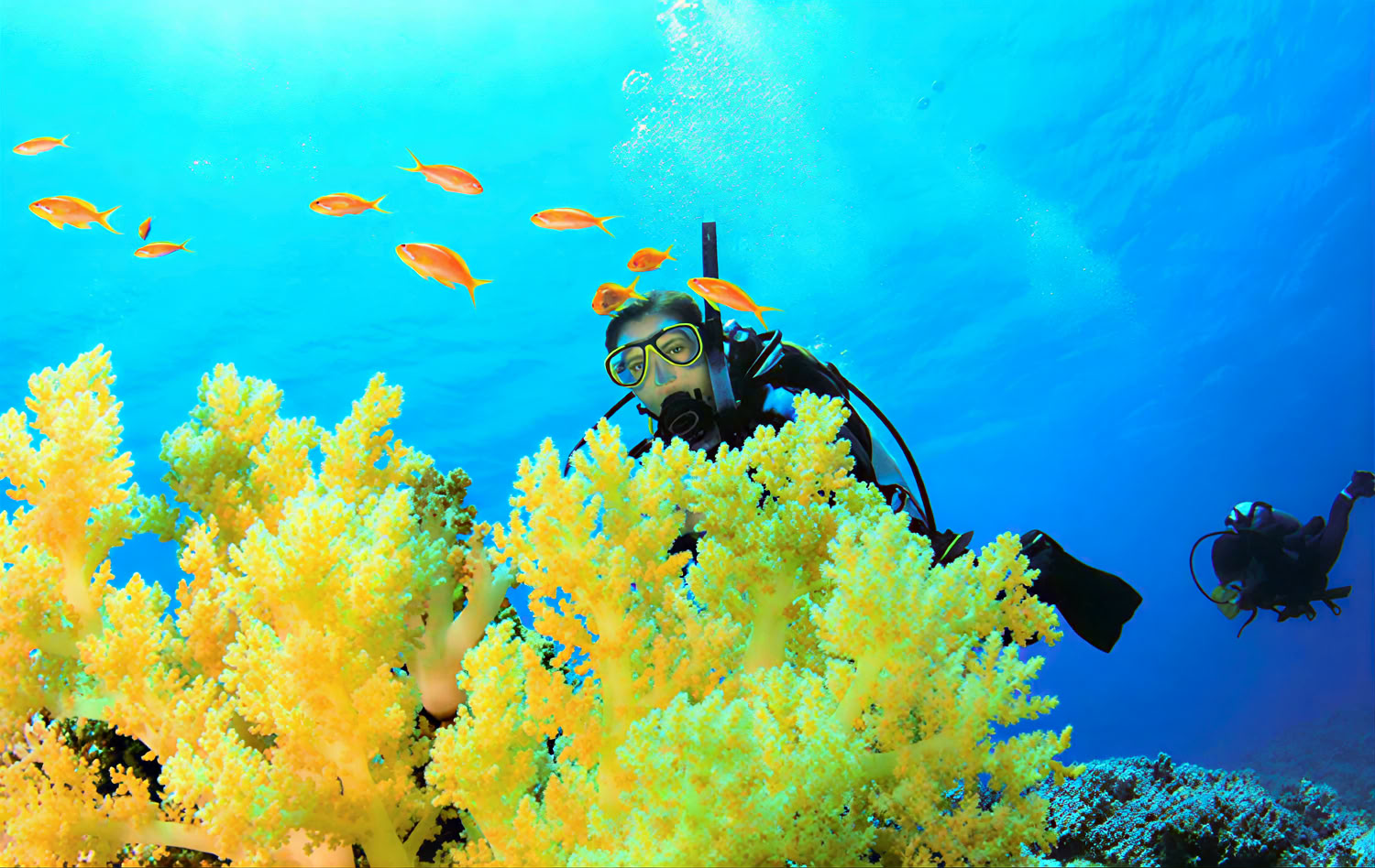 Master Diver