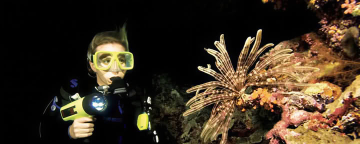 Specialità di immersione notturna e con visibilità limitata