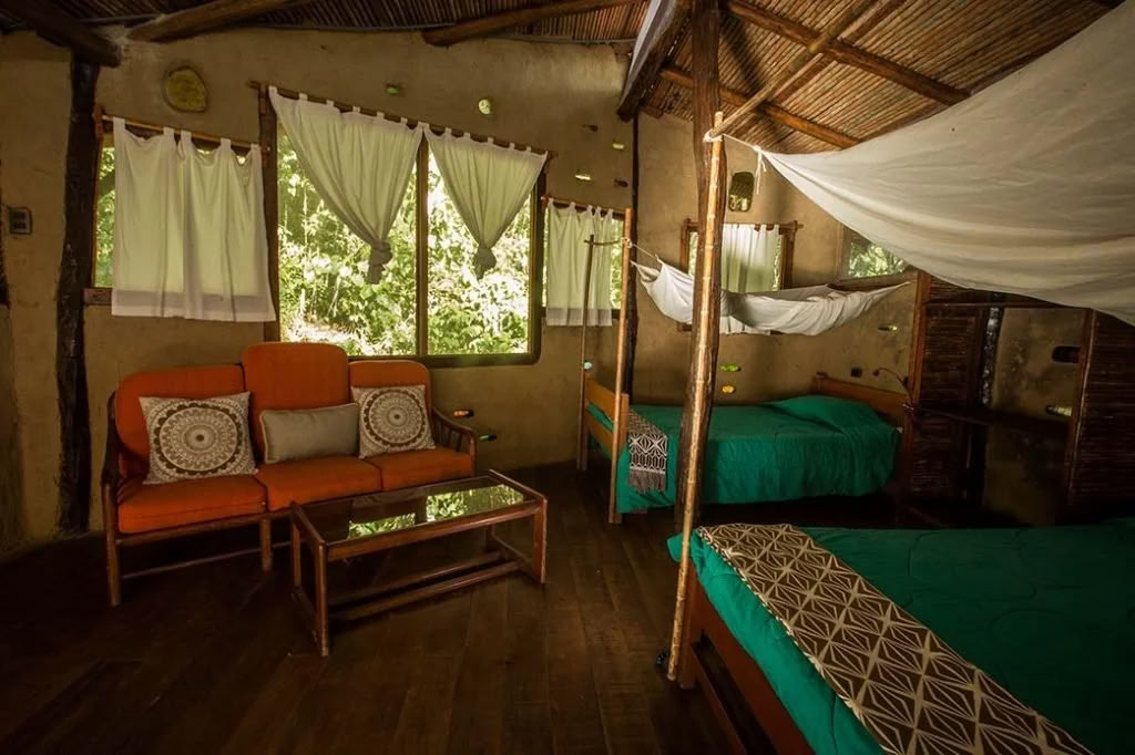 Ritiro di Ayahuasca per Non Principianti
