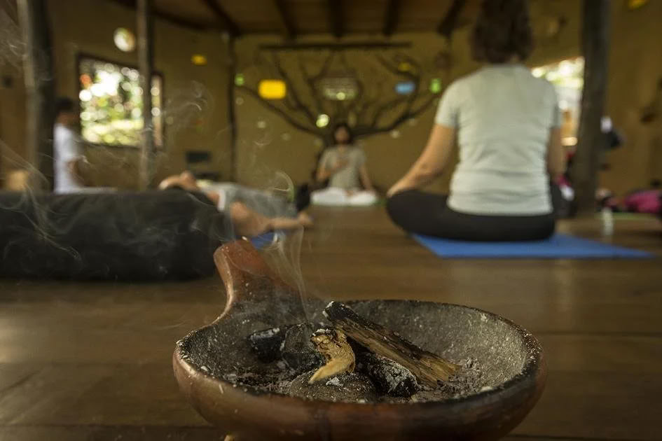 Ritiro di Ayahuasca per Non Principianti