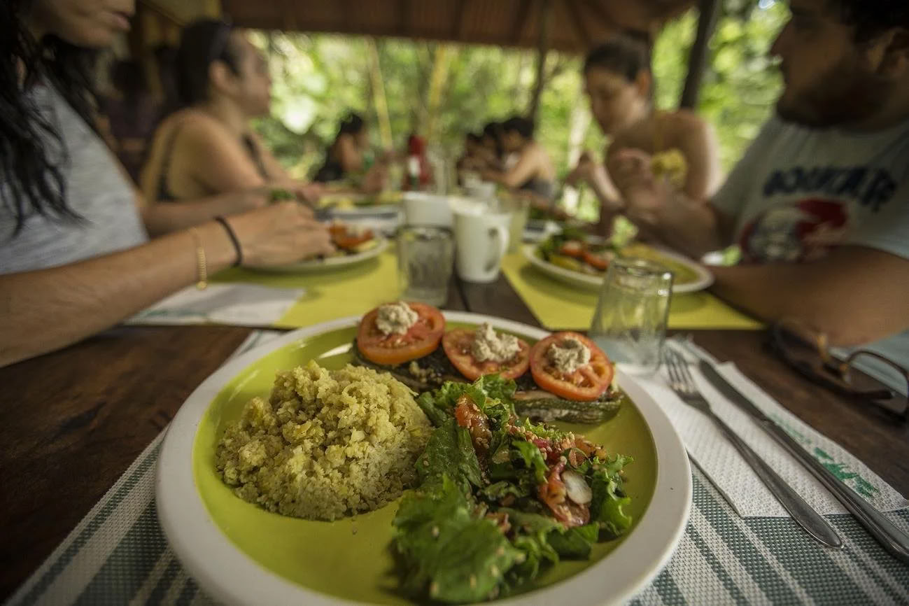 Ritiro di Ayahuasca per Non Principianti