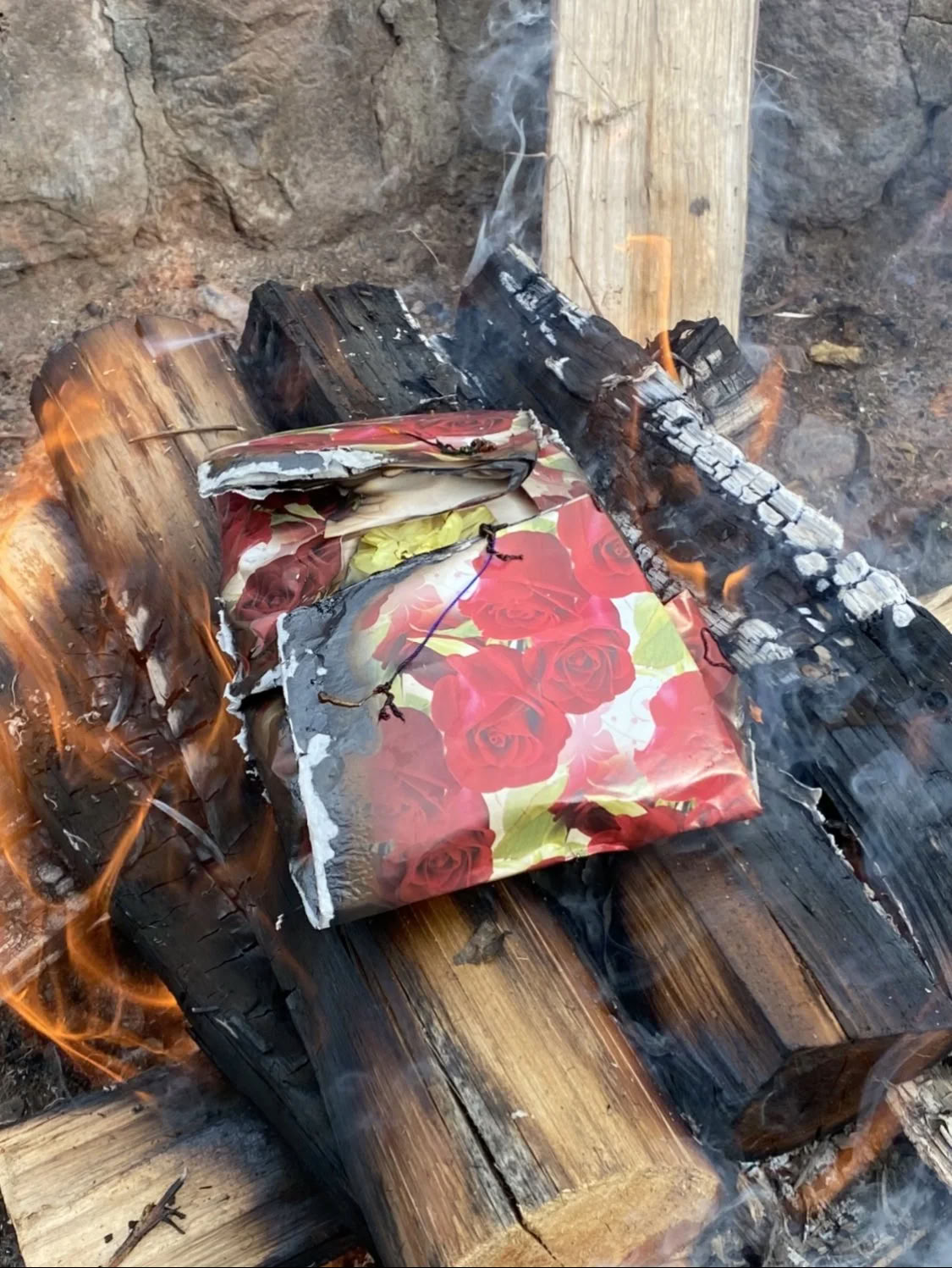 Ritiro Dieta Ayahuasca delle Piante