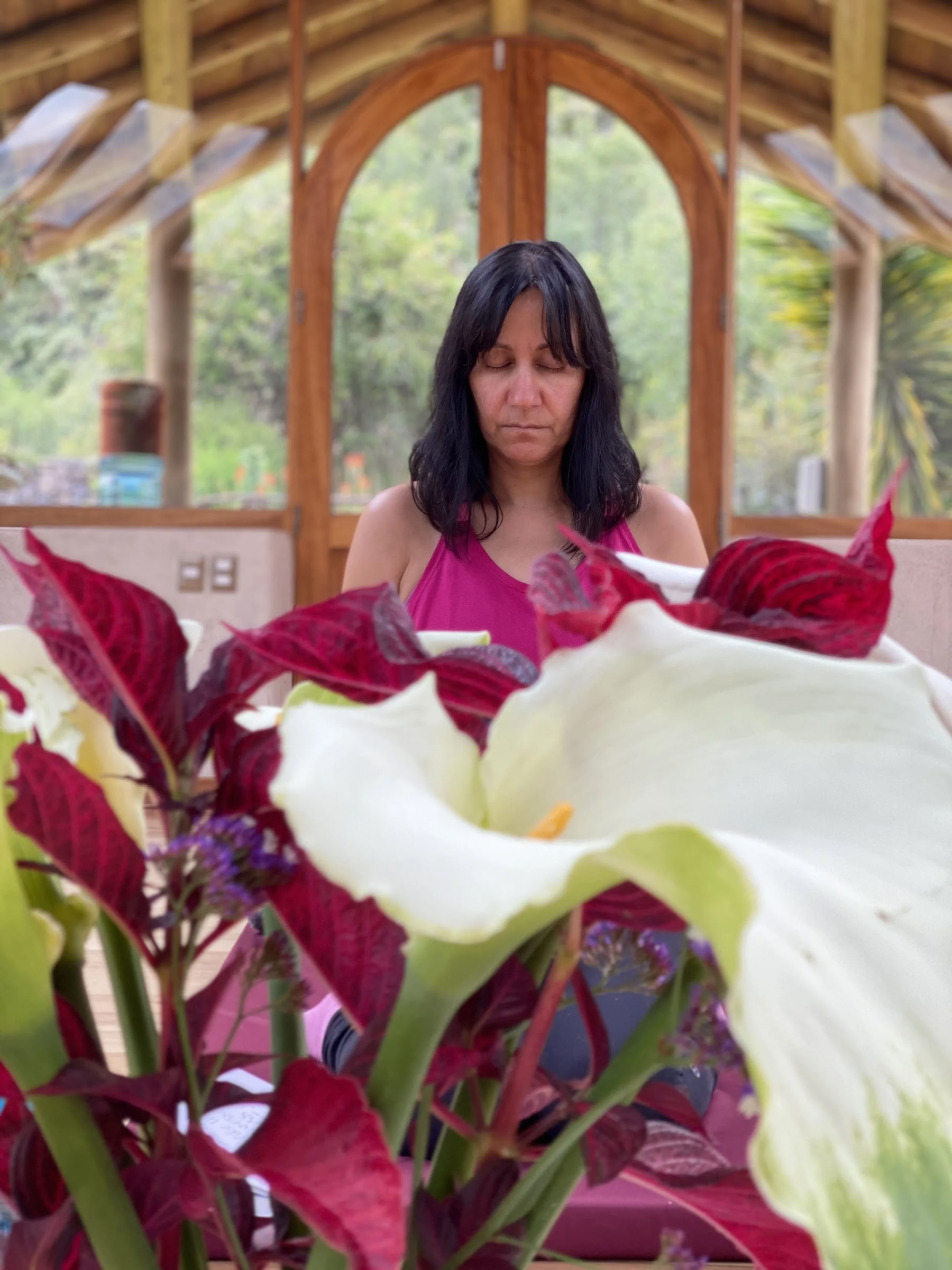 Ritiro Dieta Ayahuasca delle Piante