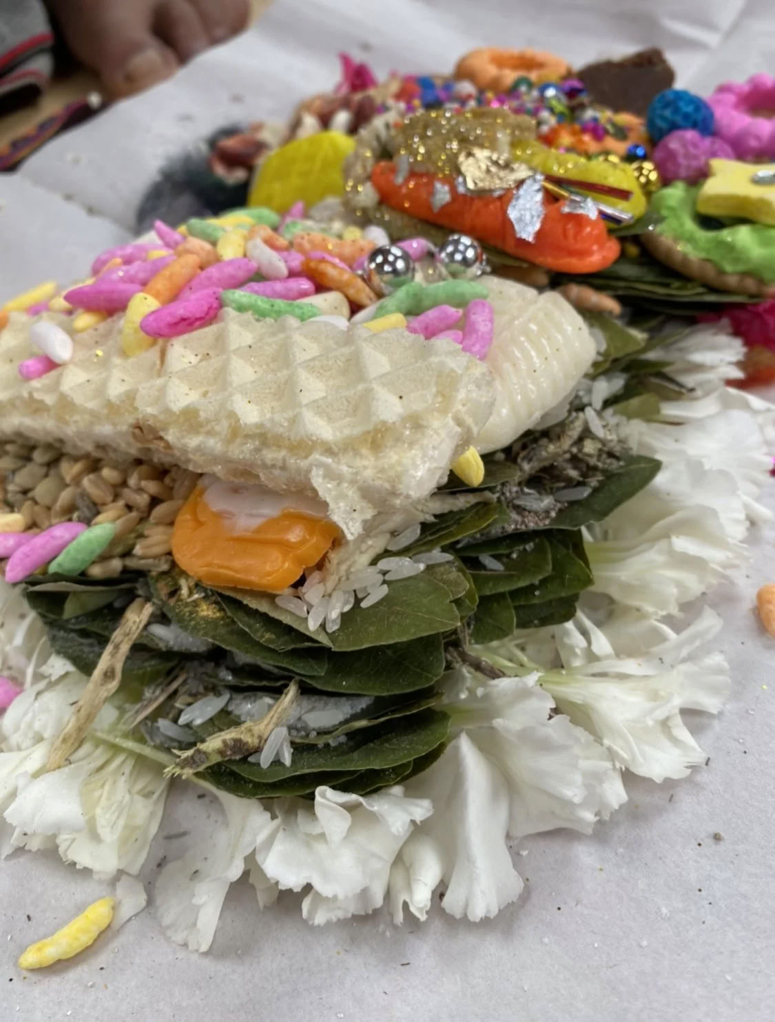 Ritiro di Ayahuasca con borsa di studio