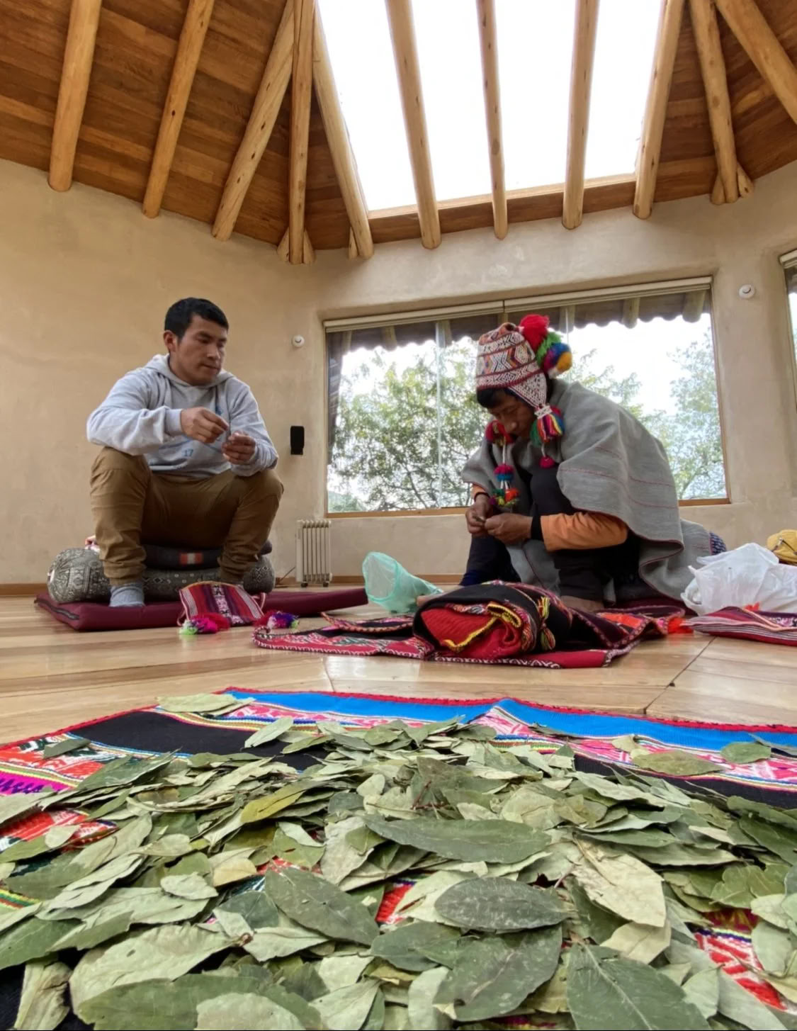 Ritiro di Ayahuasca con borsa di studio