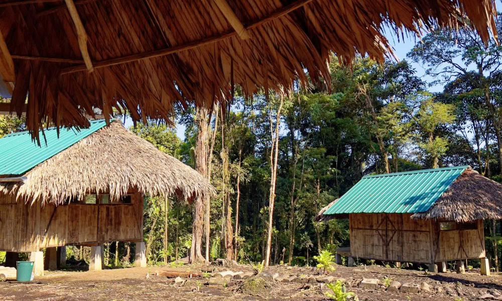 Ritiro di Iniziazione all’Ayahuasca: 7 e 14 Giorni – 10-31 Gennaio 2027