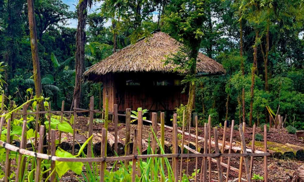 Ritiro di Iniziazione all’Ayahuasca: 7 e 14 Giorni – 10-31 Gennaio 2027