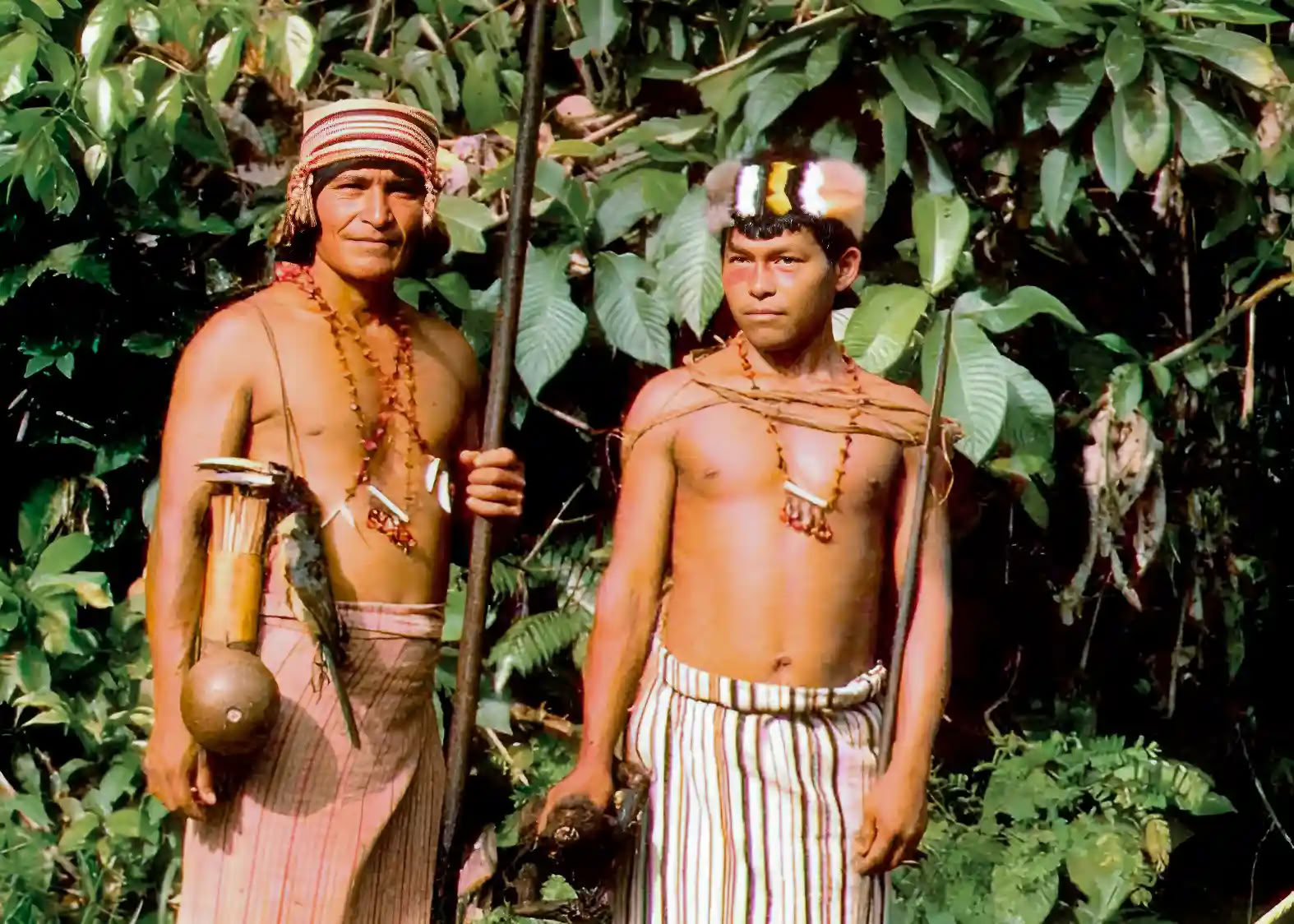 Ritiro di Iniziazione all’Ayahuasca: 7 e 14 Giorni – 10-31 Gennaio 2027