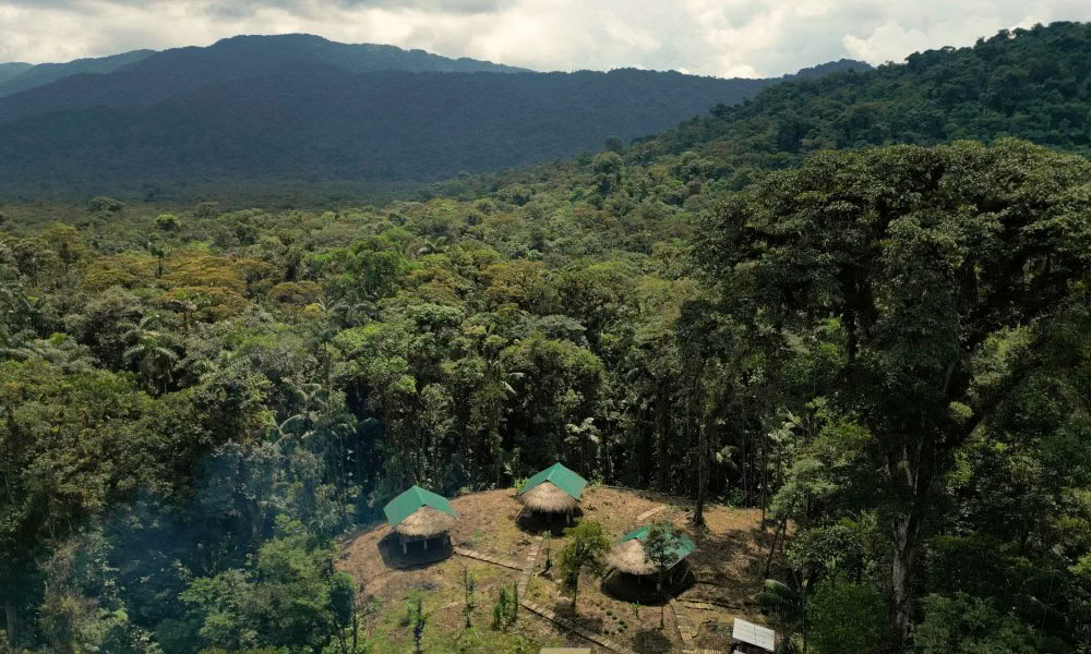 Ritiro di Iniziazione all'Ayahuasca: 7 e 14 giorni – 3-24 febbraio 2027