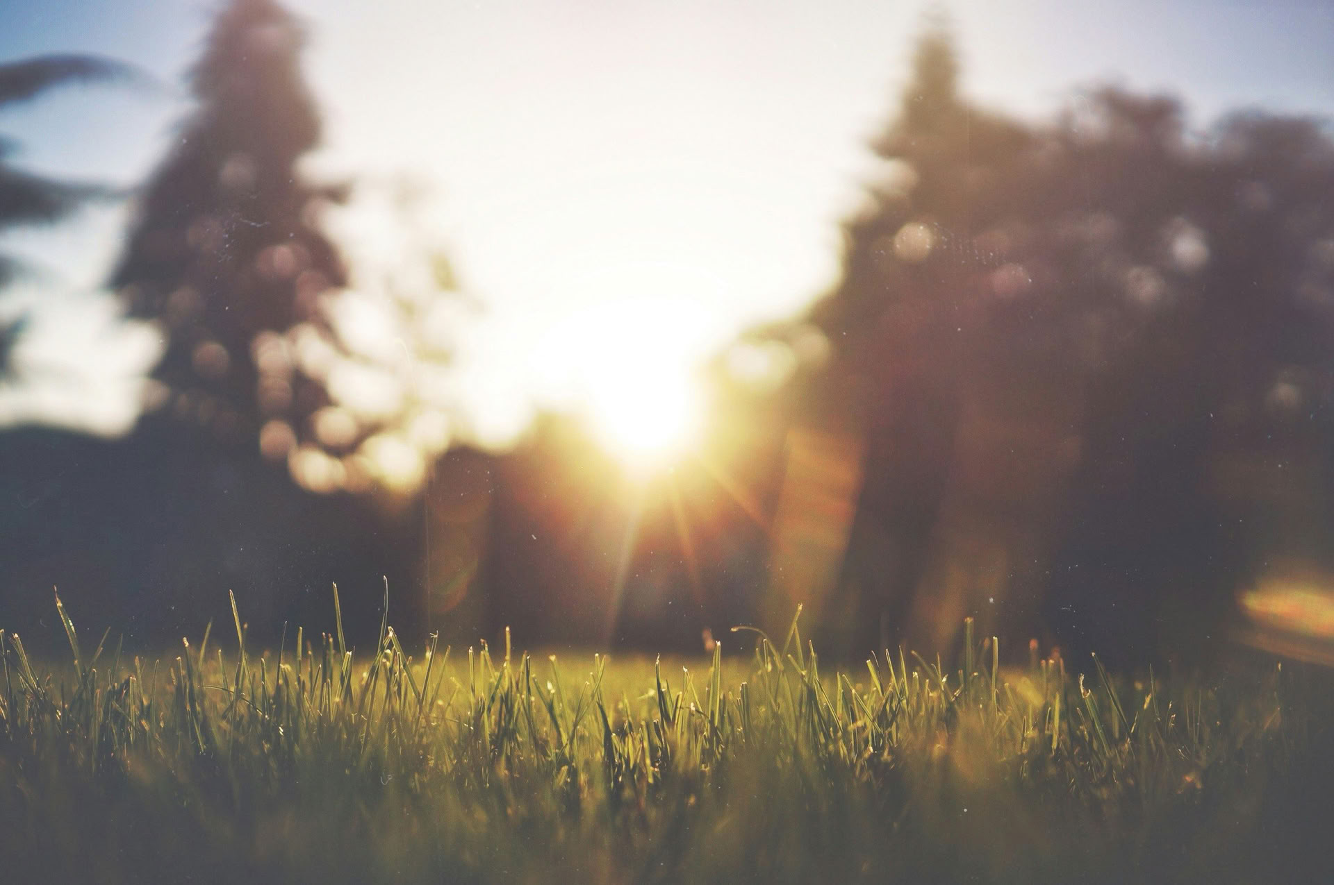 Solitudine Day (self-catered)