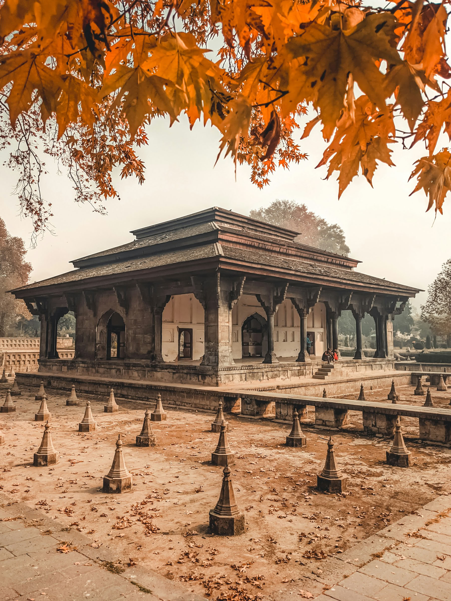 Dal Dreams & Mountain Days: Un’esperienza distintiva in Kashmir