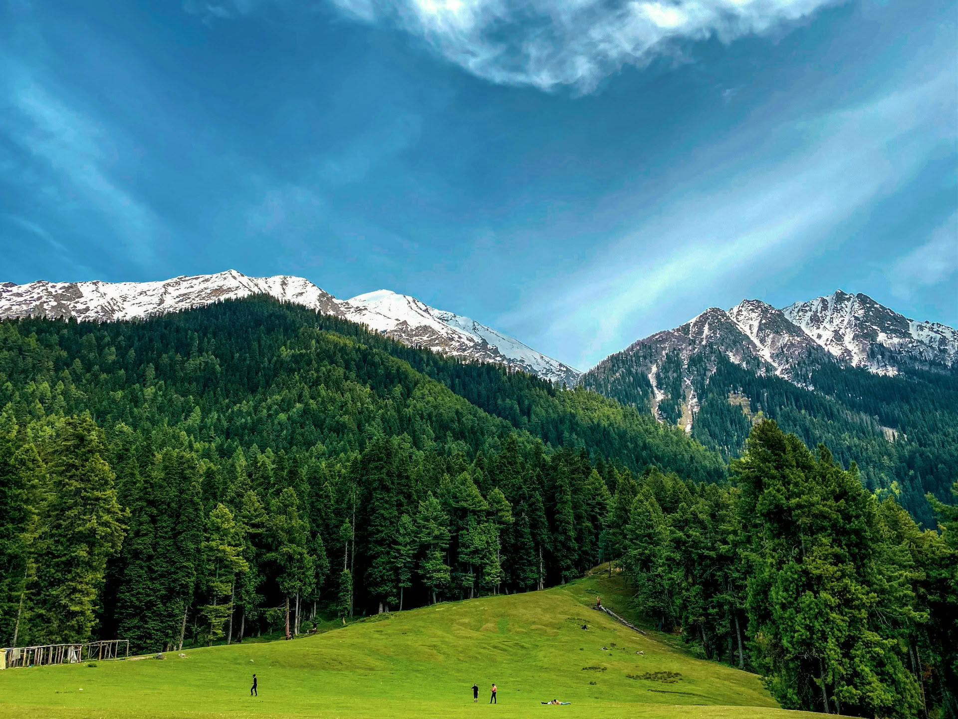 Dal Dreams & Mountain Days: Un’esperienza distintiva in Kashmir